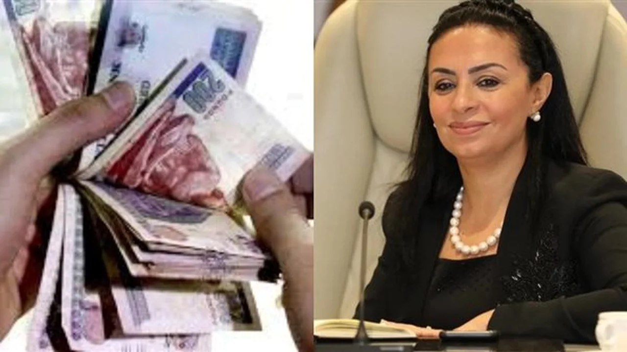 معاش شهري لمستحقيها.. شروط تأمين الدخل للسيدات غير العاملات وفق القانون الجديد